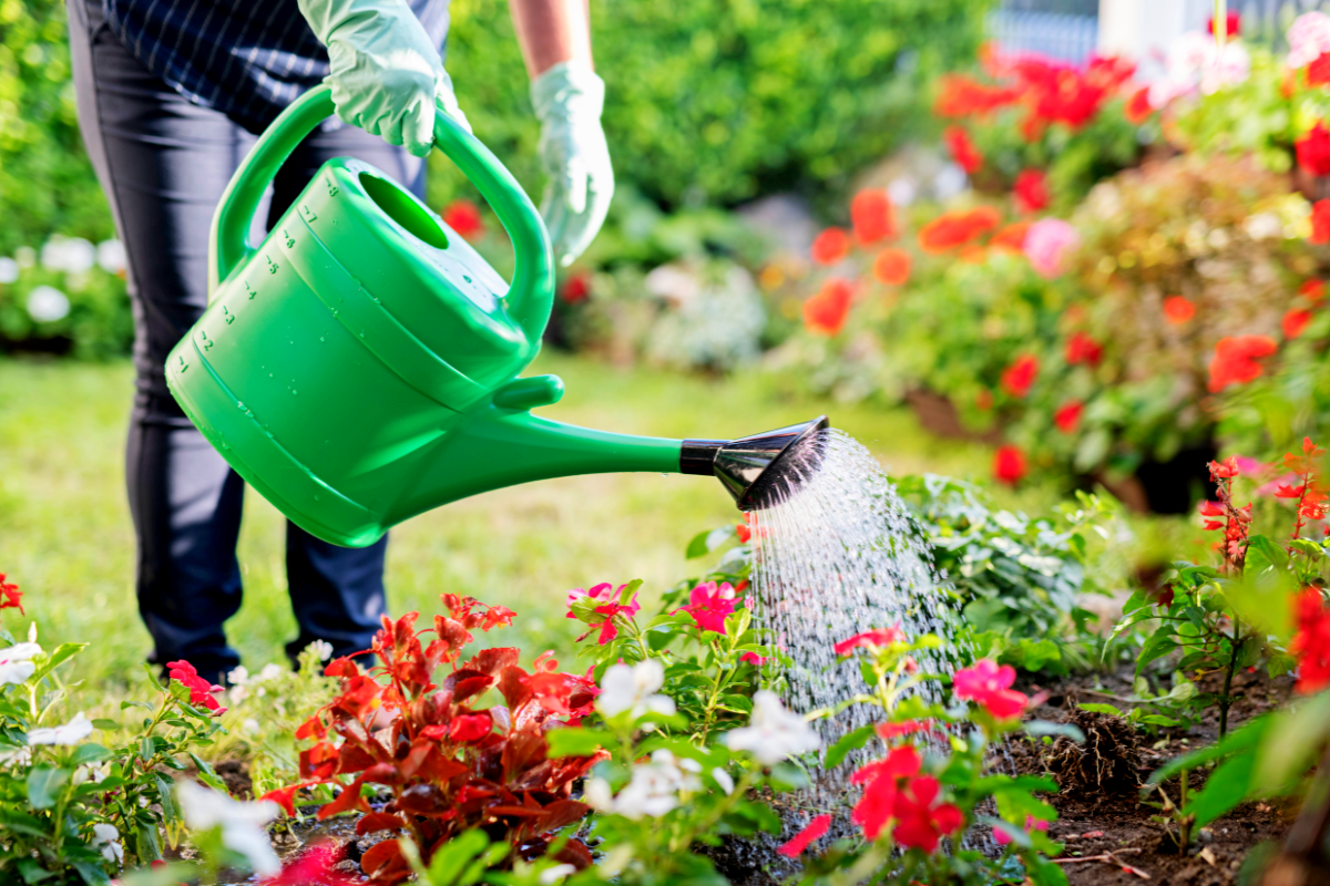 Arrosoir Nuage Pluie Pour Plantes - 2 Tiges De Soutien - Forme Mignonne, Pulvérisation Douce & Économie D'Eau - Cadeau Jardin