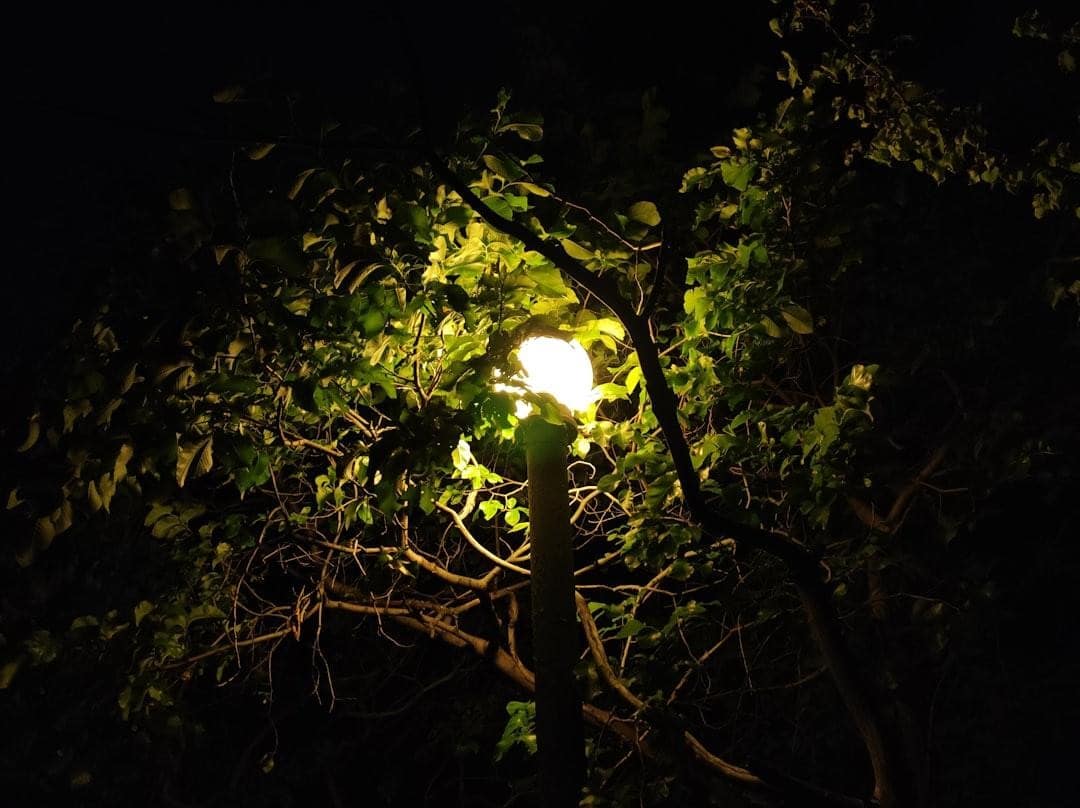 comment bien protéger ses luminaires extérieurs