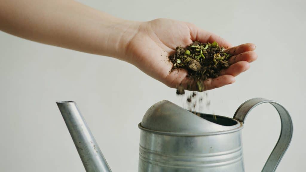 Mains versant compost vegetal dans arrosoir metallique
